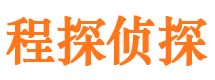 隆子侦探公司